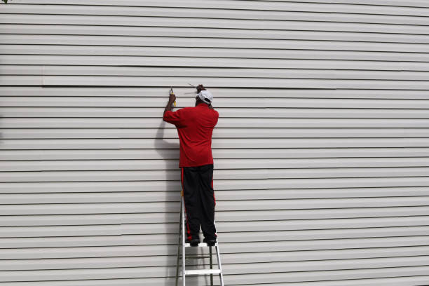 Best Siding Removal and Disposal  in Velda City, MO